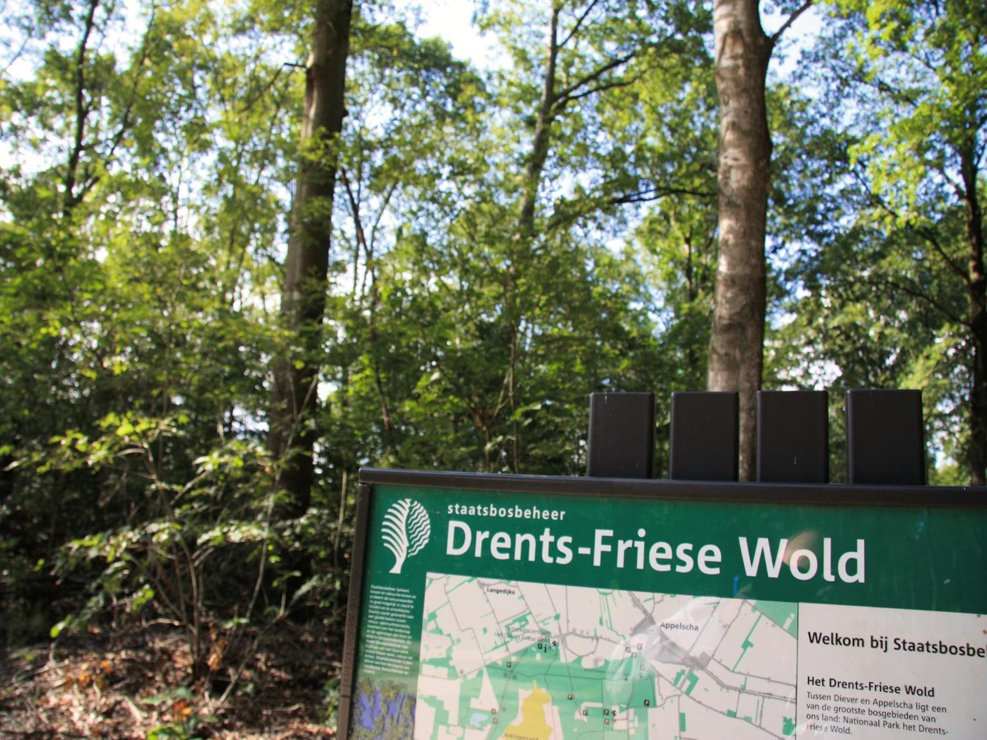 Restyled House With Fire Place Near The Drents-Friese Wold Hoogersmilde Exterior foto